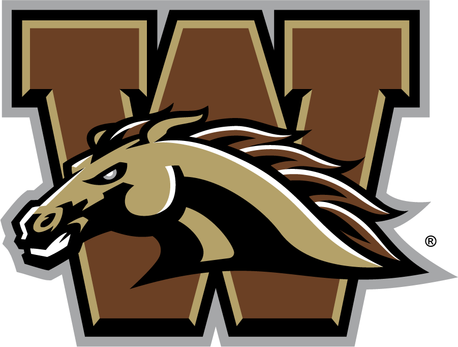 Western Michigan Broncos 2016-2021 Primary Logo diy DTF decal sticker